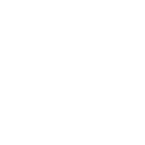 Explorer Scouts logo